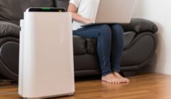 Top 5 Air Purifiers for Allergies