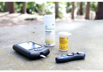 Diabetes: Things You Need to Manage Your Health